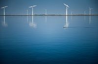 Nederlandse windmolens bij blauw water fotoprint