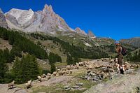 Shepherd in the French Alps 2