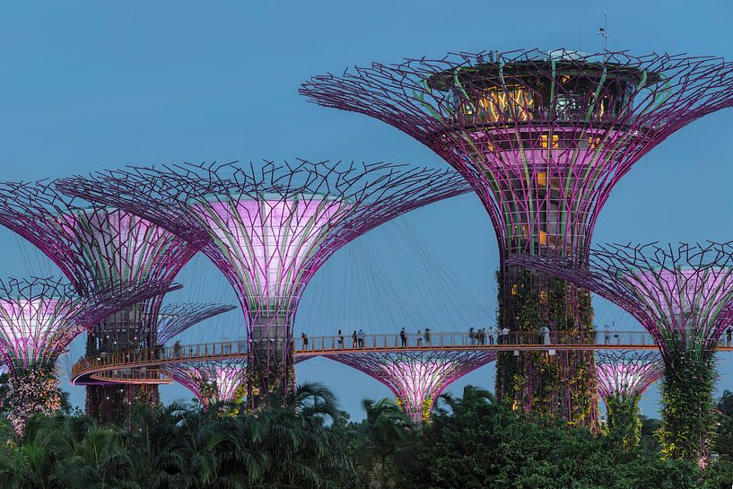 Supertrees, Gardens by the Bay, Singapur von Markus Lange
