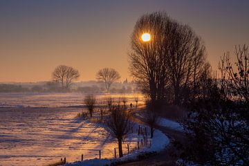 Eiskalter Morgen im Ooijpolder von Erik Bergmans