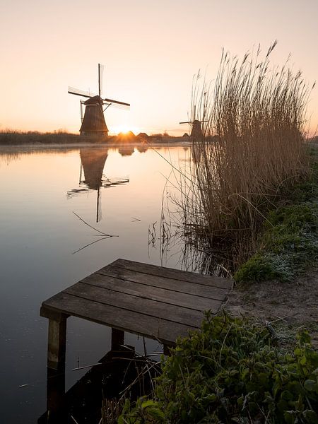 Kinderdijk Windmühlen in den frühen Morgenstunden von Wilco Bos