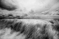 Dune at Petten (N-H)