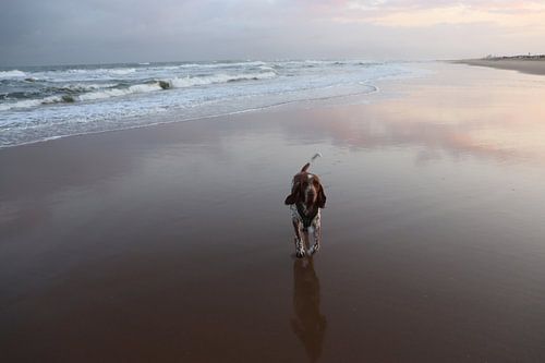Wächter der Gezeiten bei Sonnenaufgang