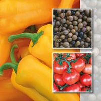 Mélange alimentaire paprika