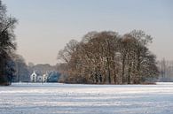 Winterlandschap bij Utrecht - landgoed Amelisweerd par Remke Spijkers Aperçu