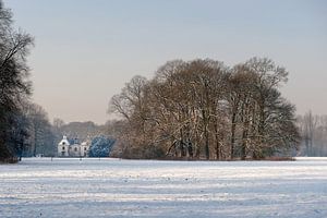 Winterlandschap bij Utrecht - landgoed Amelisweerd