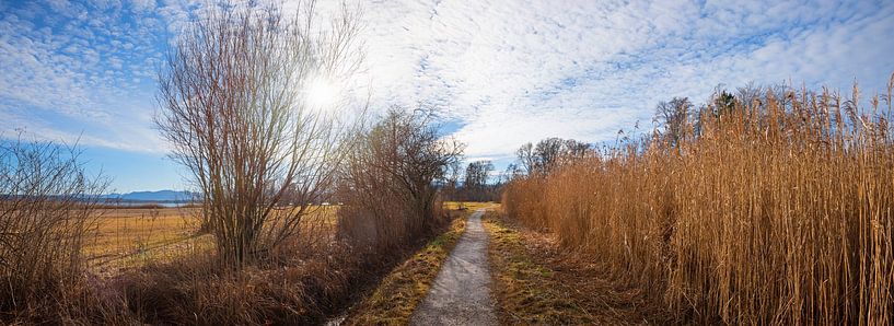 hiking route through lakeside marshland Starnberger See, upper b par SusaZoom