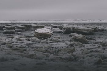 Frozen Landscape in the Wadden Sea
