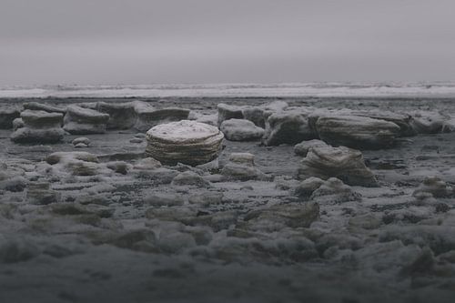 Frozen Landscape in the Wadden Sea