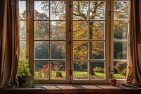 view out of the window