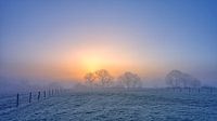 Trees in winter landscape during foggy sunrise par Peter Bolman Aperçu