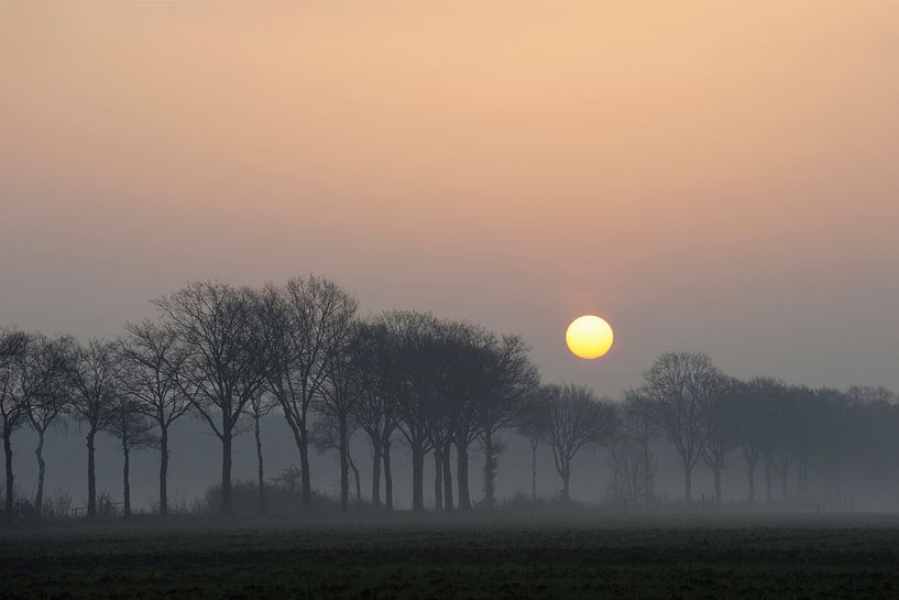 Atmospheric sunrise above a small rural avenue by wunderbare Erde