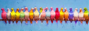Farbige Tauben für Frieden und Inklusion von Arjen Roos