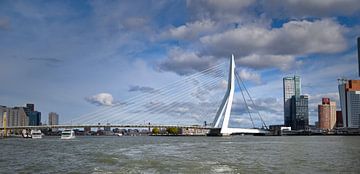 Rotterdam, De Erasmusbrug van Rob Jansen