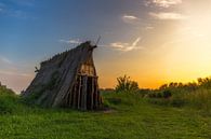 Hutje op de hei/Cabin in the middle of nowhere by Alex Riemslag thumbnail