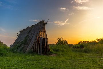 Hutje op de hei/Cabin in the middle of nowhere van Alex Riemslag