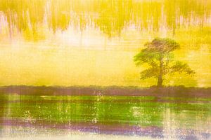 ARBRE DANS UN PAYSAGE ICM + EXPOSITION MULTIPLE