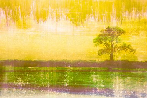 BAUM IN LANDSCHAFT ICM + MEHRFACHBELICHTUNG