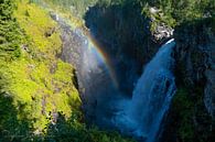 Aan het einde van de regenboog van Torfinn Johannessen thumbnail