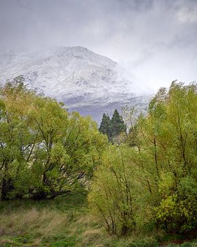 Résister à la tempête sur Keith Wilson Photography