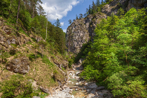 Kaiserbach with rocks