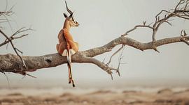 Antilope en équilibre aérien sur Klaus Tesching - Art-AI
