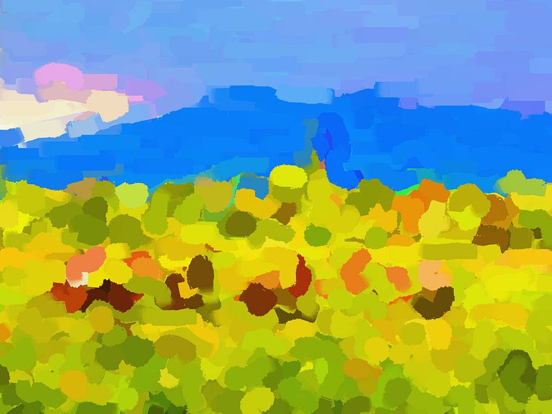 In the field van Judith Robben