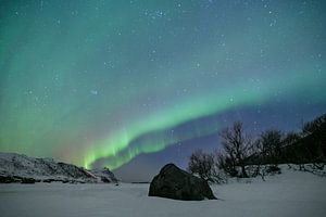Nordlicht über einem zugefrorenen See auf den Lofoten in Norwegen