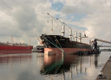 Verschillende vrachtschepen in de haven Amsterdam. van scheepskijkerhavenfotografie