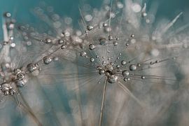 Gouttes dans l'air sur Marjolijn van den Berg