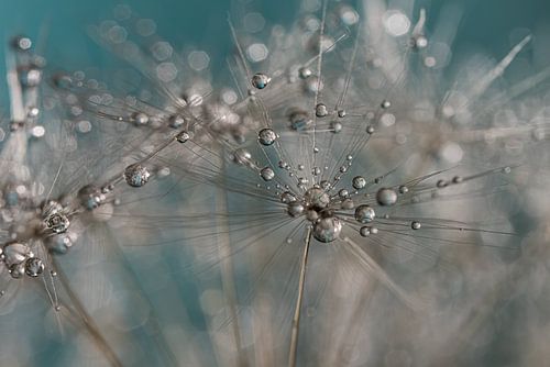 Druppels in de lucht