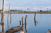 Fraai meer in Laos, Thakhek Loop van Anne Zwagers thumbnail