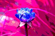 Blauwe roos / Blue rose/ Blaue rose/ Rose bleue van Joke Gorter thumbnail