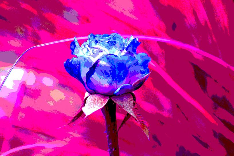 Blaue Rose von Joke Gorter