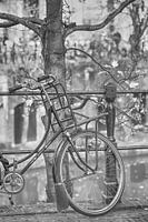 Fiets Binnenstad Utrecht