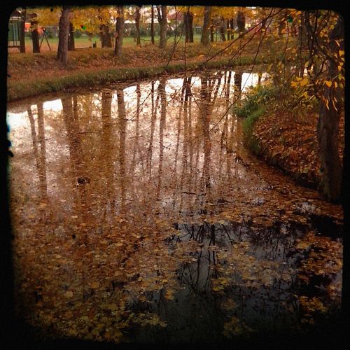 Herfst III