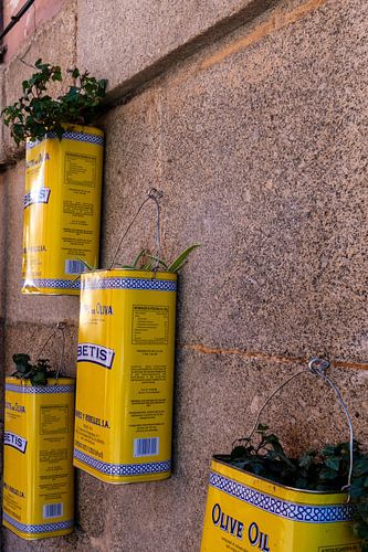 Olive oil cans as flower pots | Madrid