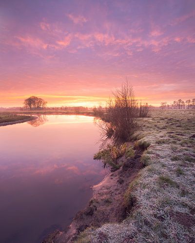 Rivier Regge bij Nijverdal