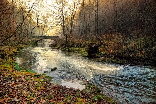 De brug over de wilde rivier