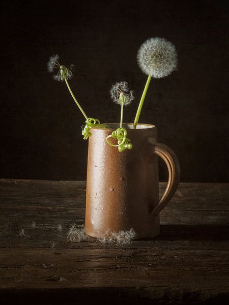 Fluff by Miriam Meijer, en pleine campagne.....