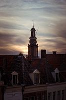Vineyard tower Zutphen