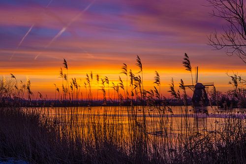 Gekleurde ijskoude start van de vrijdag