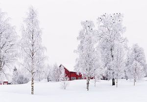 Winter in Noorwegen van Adelheid Smitt