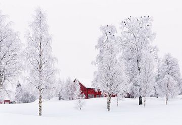 Winter in Norway by Adelheid Smitt