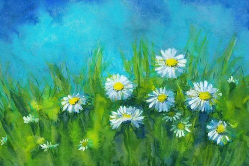 Lenteweide met madeliefjes