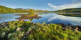 Un matin parfait sur Rainer Mirau