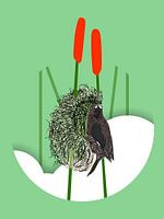 Bird on Nest with Cattails Illustration