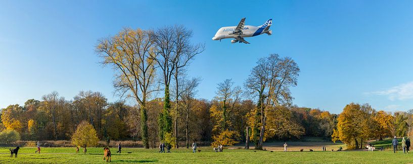 Jenischpark - BELUGA XING von Heinrich Wimmer