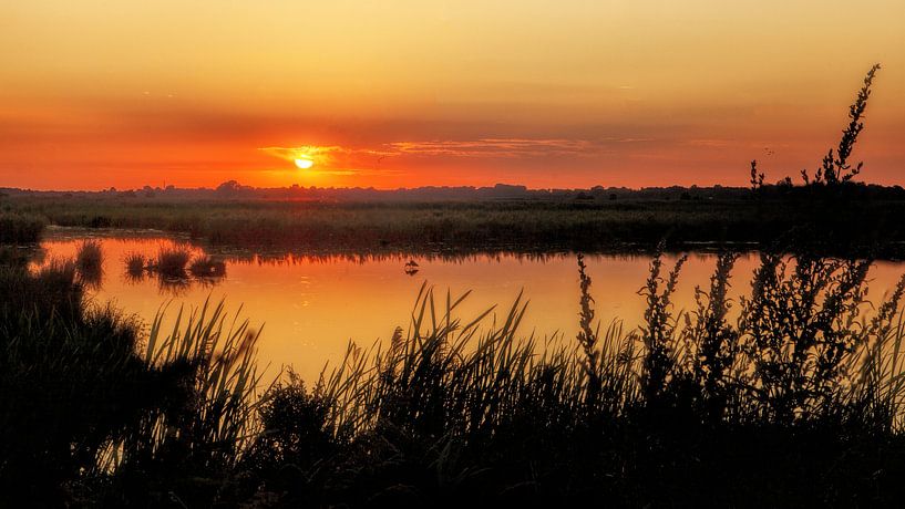 Sunset Onlanden Drenthe Niederlande mit Reiher von R Smallenbroek