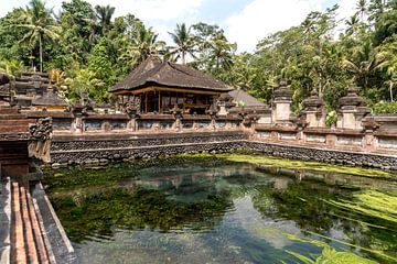 Tempelcomplex Pura Tirta Empul bij Ubud, Bali, Indonesië van Peter Schickert